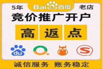 Sem优化公司实例：电商流量提升策略